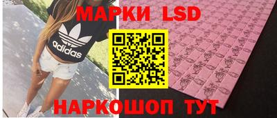 гидропоника Рязань