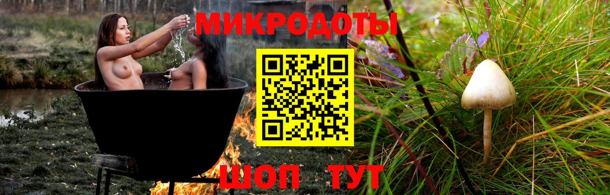 Псилоцибиновые грибы ЛСД  Вход с VPN  Чапаевск  Псилоцибиновые грибы Psilocybe 